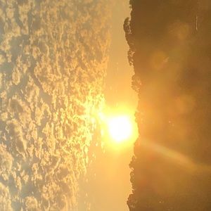 Meet your Posher, Angeline